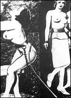 Rougs sex and cruel  sex toons