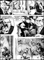 Rougs sex and cruel  sex toons