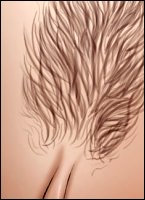 Rougs sex and cruel  sex toons