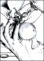 Rougs sex and cruel  sex toons