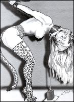 Rougs sex and cruel  sex toons