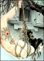 Rougs sex and cruel  sex toons
