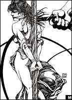 Rougs sex and cruel  sex toons