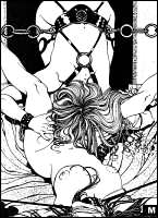 Rougs sex and cruel  sex toons