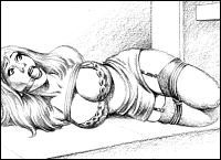 Rougs sex and cruel  sex toons