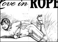 Rougs sex and cruel  sex toons