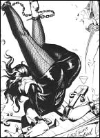 Rougs sex and cruel  sex toons