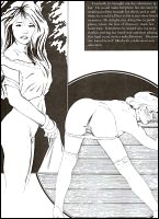 Rougs sex and cruel  sex toons