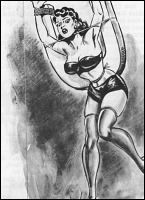 Rougs sex and cruel  sex toons
