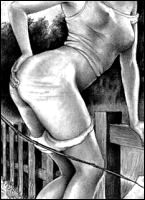 Rougs sex and cruel  sex toons