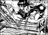 Rougs sex and cruel  sex toons