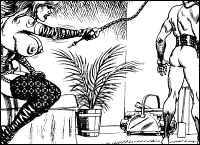 Rougs sex and cruel  sex toons