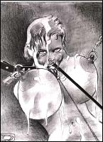 Rougs sex and cruel  sex toons