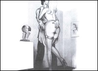 Rougs sex and cruel  sex toons