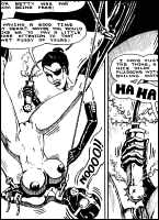 Rougs sex and cruel  sex toons