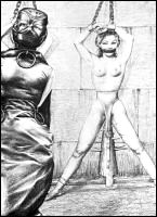 Rougs sex and cruel  sex toons