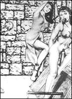 Rougs sex and cruel  sex toons