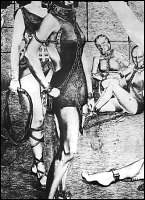 Rougs sex and cruel  sex toons