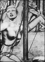 Rougs sex and cruel  sex toons