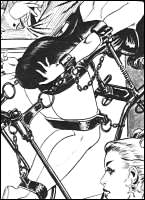 Rougs sex and cruel  sex toons