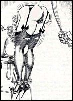 Rougs sex and cruel  sex toons