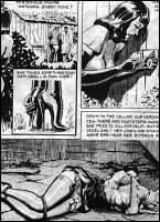 Rougs sex and cruel  sex toons
