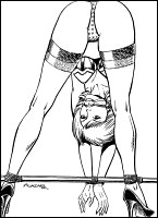 Rougs sex and cruel  sex toons
