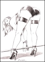 Rougs sex and cruel  sex toons
