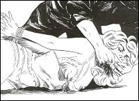 Rougs sex and cruel  sex toons