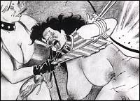 Rougs sex and cruel  sex toons