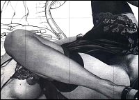 Rougs sex and cruel  sex toons