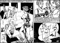 Rougs sex and cruel  sex toons