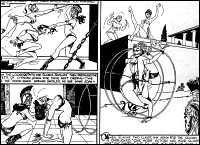 Rougs sex and cruel  sex toons