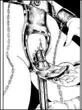 BDSM and cruel porn comics and cartoons