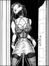BDSM and cruel porn comics and cartoons