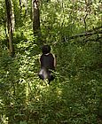 004.jpg
