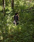 005.jpg