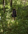 006.jpg