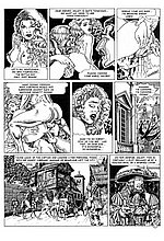 COMICS PARADISE