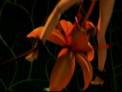 Tentacle Porn Free Sample Movie