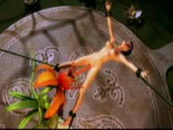 Tentacle Porn Free Sample Movie