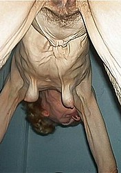skinny_granny03.jpg