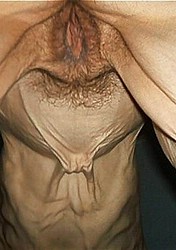 skinny_granny10.jpg