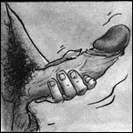 free porn comics