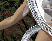 3d alien sex