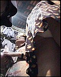 Deadly drunk teens afterparty! Click to see more!