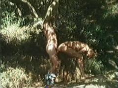 gay vintage porn