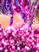 tentacle bondage hentai