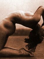 vintage retro porn