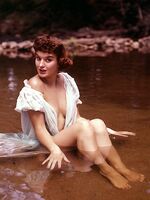 vintage retro porn